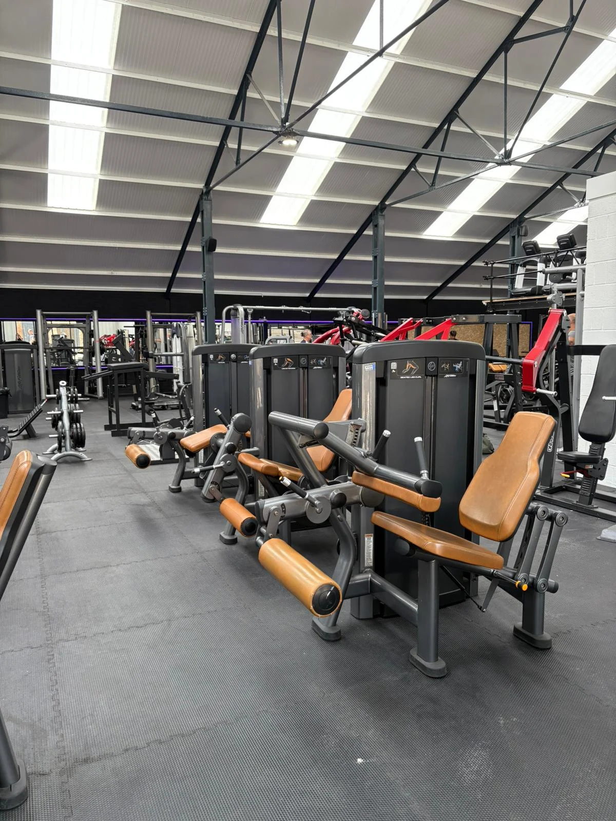 Overview of The Complex Gym