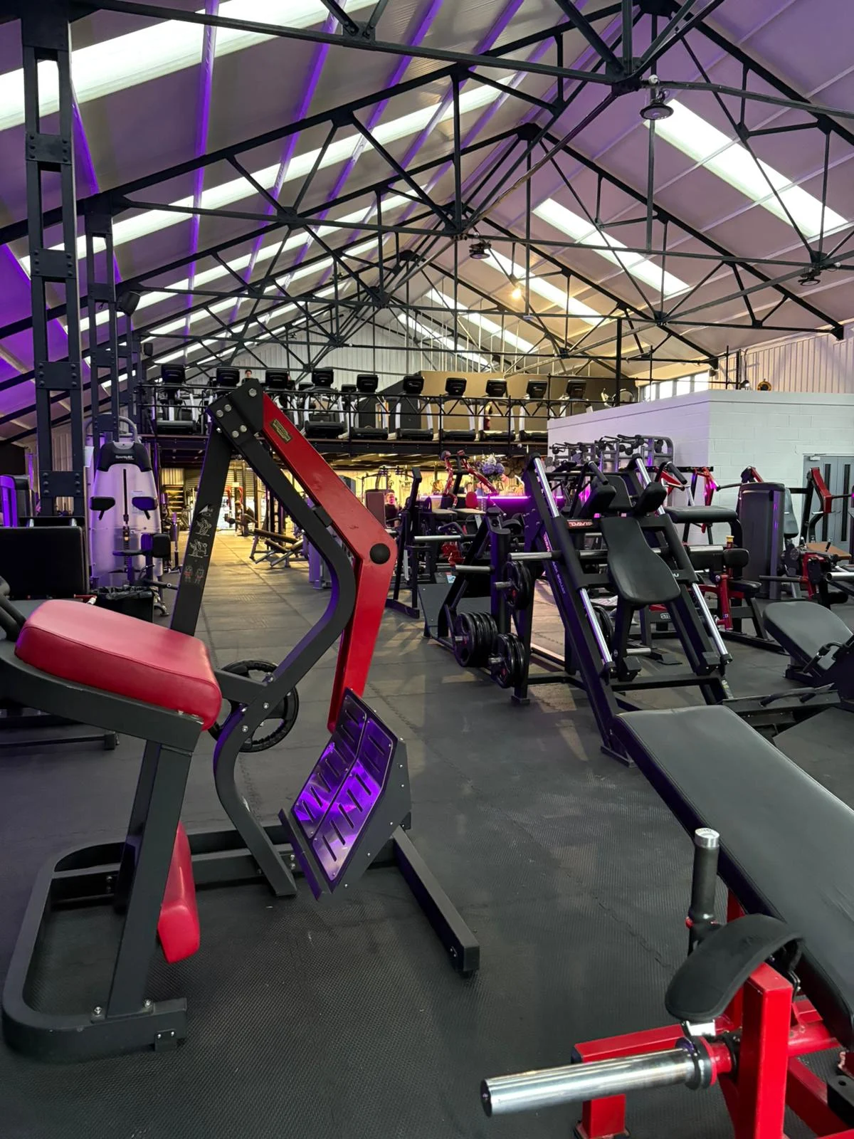 Overview of The Complex Gym